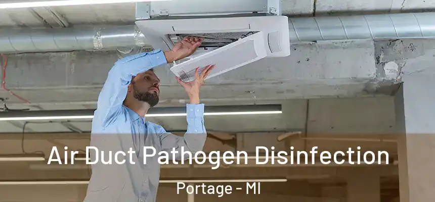  Air Duct Pathogen Disinfection Portage - MI