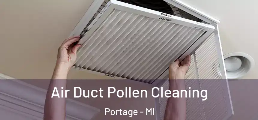  Air Duct Pollen Cleaning Portage - MI