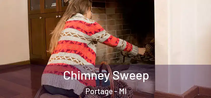  Chimney Sweep Portage - MI
