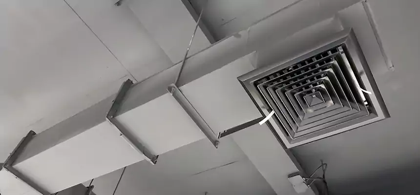 Our Rodent Droppings In Vents Services in Portage, MI