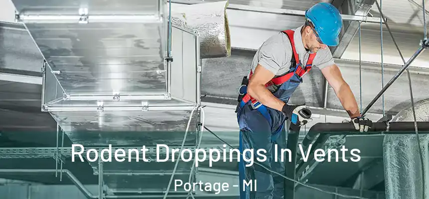  Rodent Droppings In Vents Portage - MI