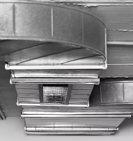 Professional Air Duct Pest Removal in Portage, MI