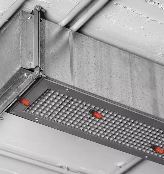 Affordable Insect Removal from Air Ducts in Portage, MI