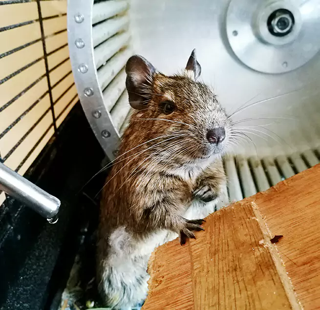 Why Homeowners & Businesses Trust Us Portage, MI?